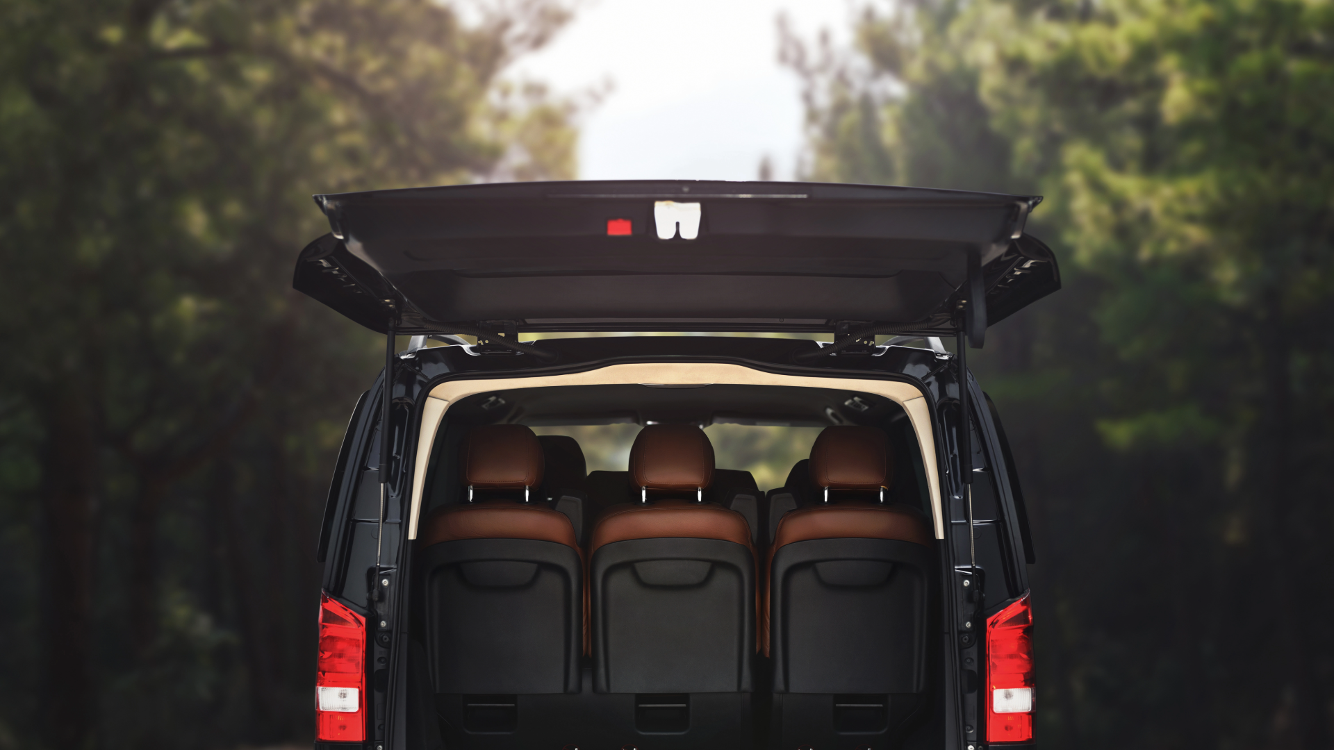 Our Vehicles - Easy-Transfers