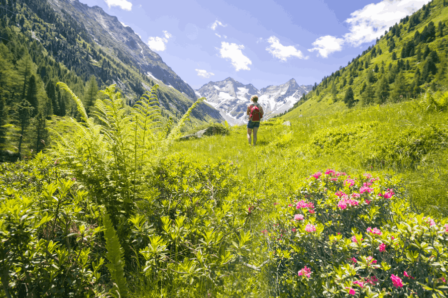 Airport Taxi from Munich - Zillertal - Mayrhofen